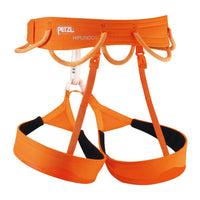 Hirundos Harness - Orange - Large 1
