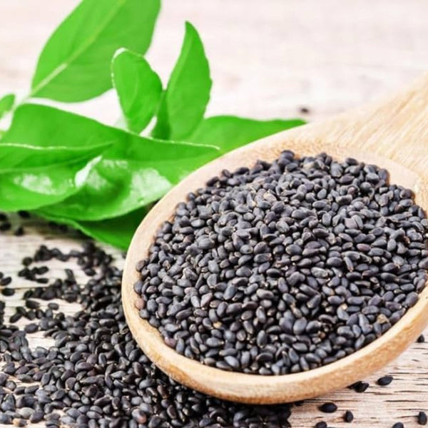 Sweet Basil Native Desi Seeds | Open Pollinated - OutdoorTravelGear.com