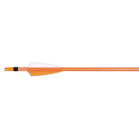 Fire Fibre-Glass Arrow Set - AFGA-06 - BICO 2