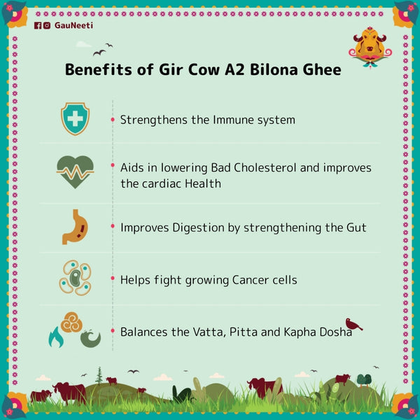 Gir Cow A2 Bilona Ghee - Artisanal Cultured Ghee - OutdoorTravelGear.com