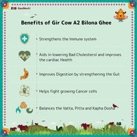 Gir Cow A2 Bilona Ghee - Artisanal Cultured Ghee - OutdoorTravelGear.com