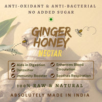 Ginger Honey | Anti-Oxidant & Anti-Bacterial Nectar | 100% Raw & Natural - OutdoorTravelGear.com