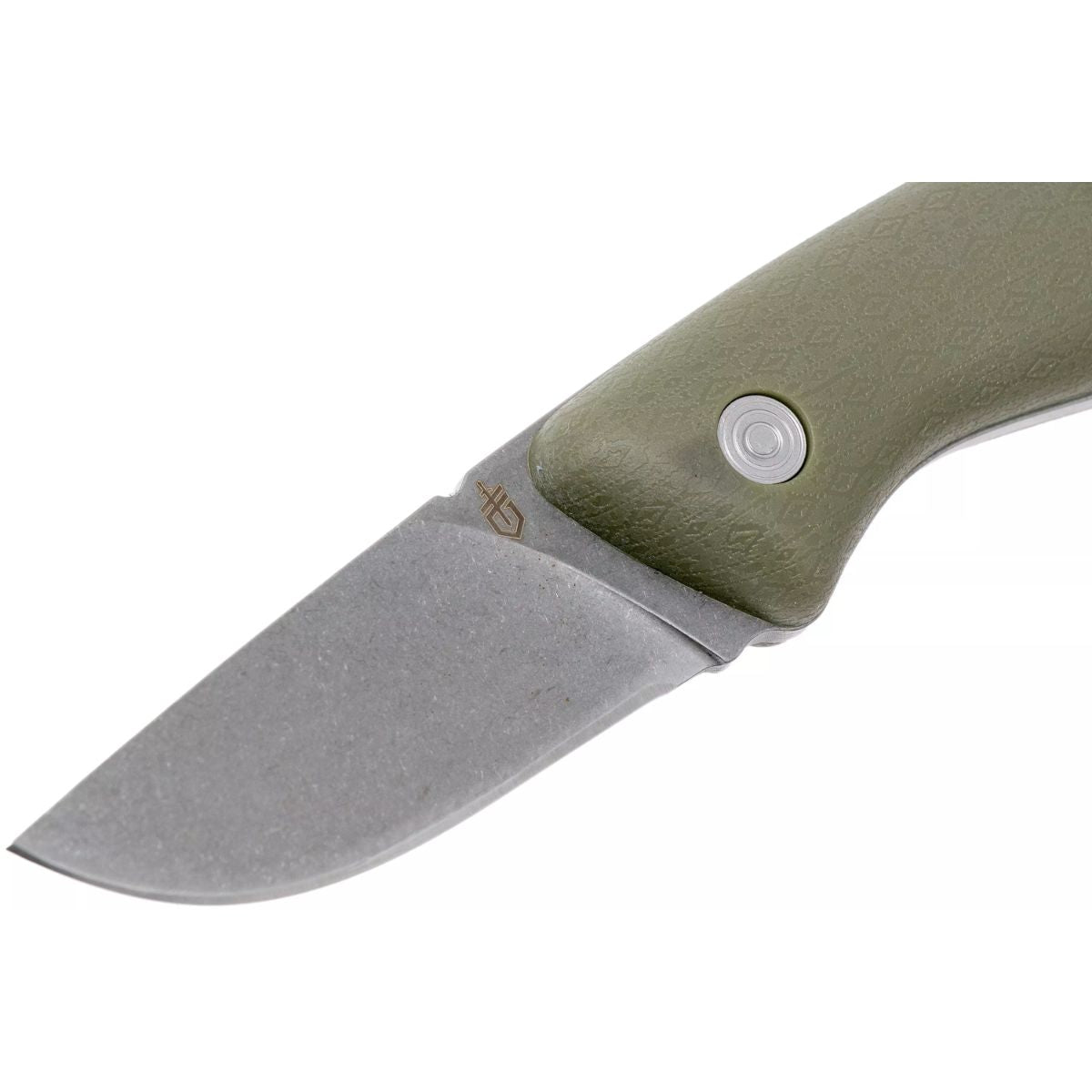 Gerber Vertebrae Fixed Blade Knife - Sage Green - 5